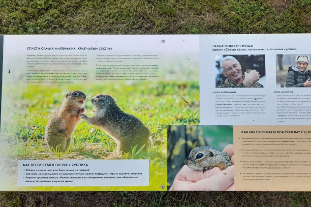 Павел Ложкин Павел Ложкин