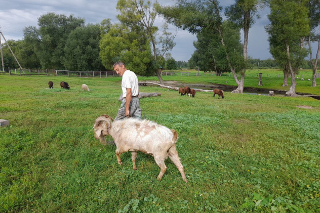 Павел Ложкин Павел Ложкин