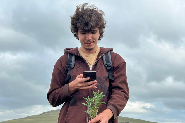 Определение вида растения Определение вида растения