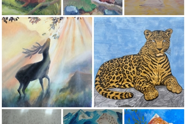 Конкурсные работы Конкурсные работы