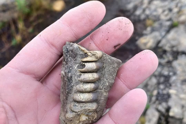 Дмитрий Болдырев Дмитрий Болдырев