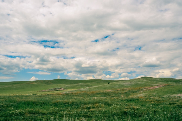 Ислам Шогенов Ислам Шогенов