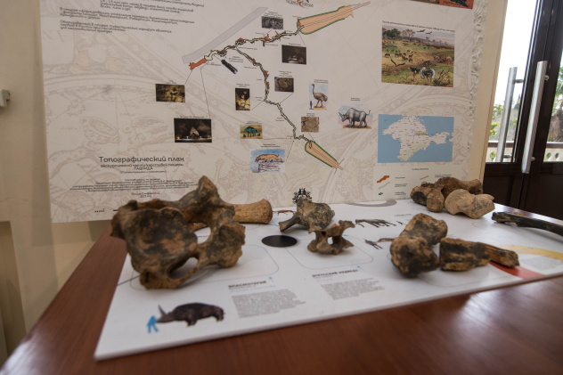 Федотова Александра Федотова Александра