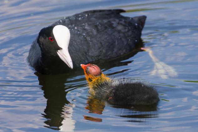Андрей Кудрявцев, участник фотоконкурса РГО "Самая красивая страна" Андрей Кудрявцев, участник фотоконкурса РГО "Самая красивая страна"