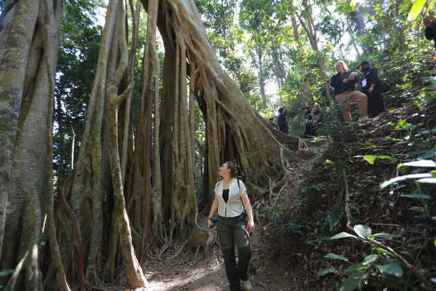 Предоставлено организаторами Предоставлено организаторами