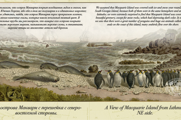 Из иллюстраций к «Атласу Беллинсгаузена»