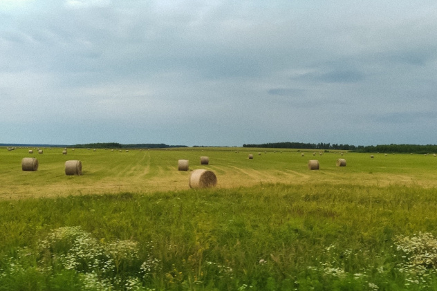 Фотография участника конкурса Фотография участника конкурса