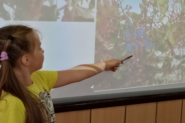 Молодёжный клуб РГО