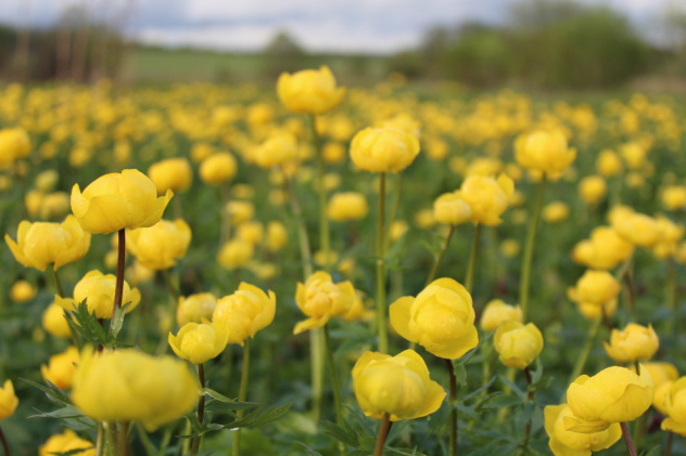 Валерий Савин Валерий Савин