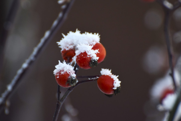 Владислав Комиссаров, участник фотоконкурса РГО "Самая красивая страна" Владислав Комиссаров, участник фотоконкурса РГО "Самая красивая страна"