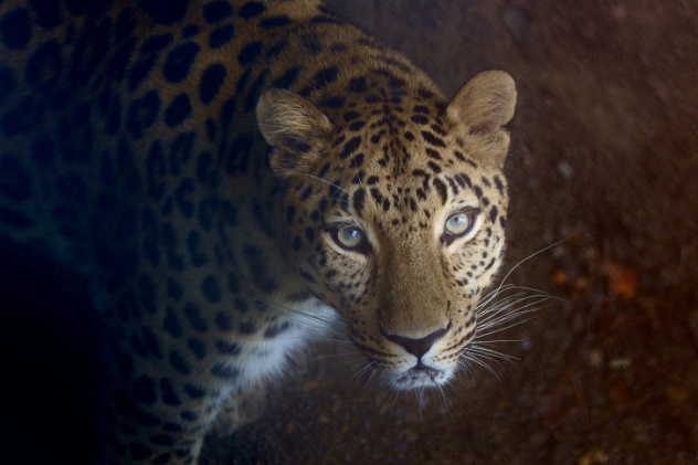 Дмитрий Марченко, участник фотоконкурса РГО "Самая красивая страна" Дмитрий Марченко, участник фотоконкурса РГО "Самая красивая страна"