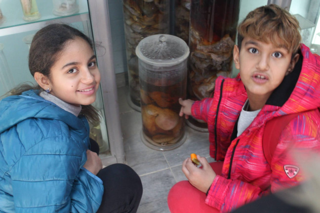 Музей Хамеда Гохара Музей Хамеда Гохара