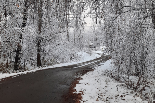 Первый снег Первый снег