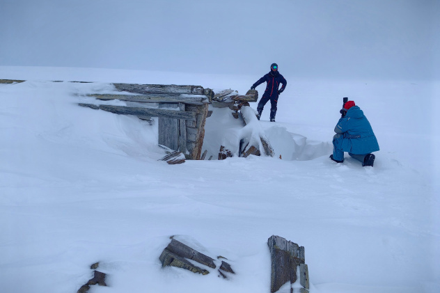 Алина Кочергина