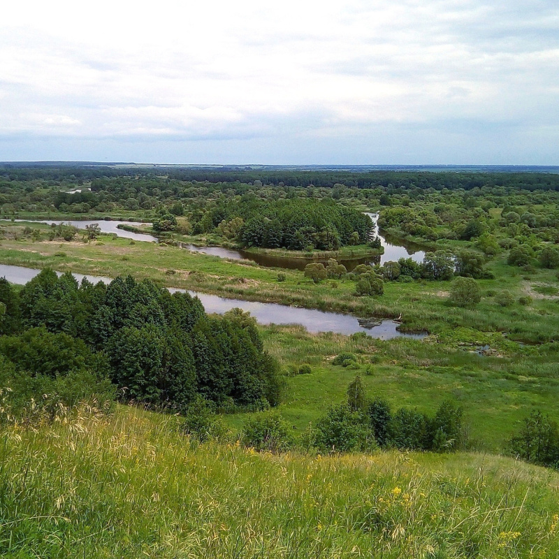 Воронинский заповедник Воронинский заповедник