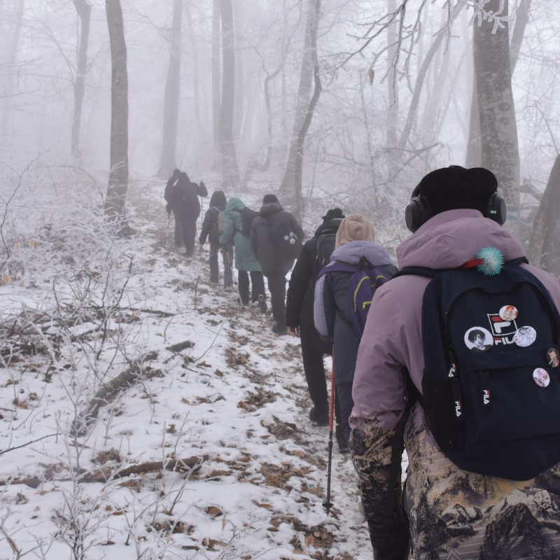 Тенгиз Мокаев 