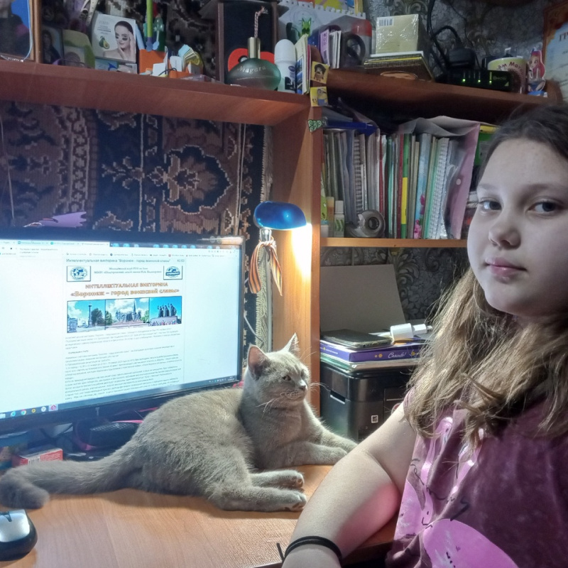 Викторина "Воронеж - город воинской славы"