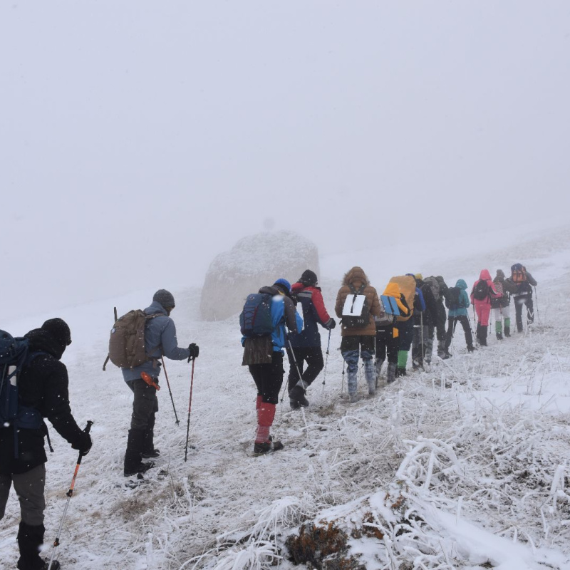 Тенгиз Мокаев 