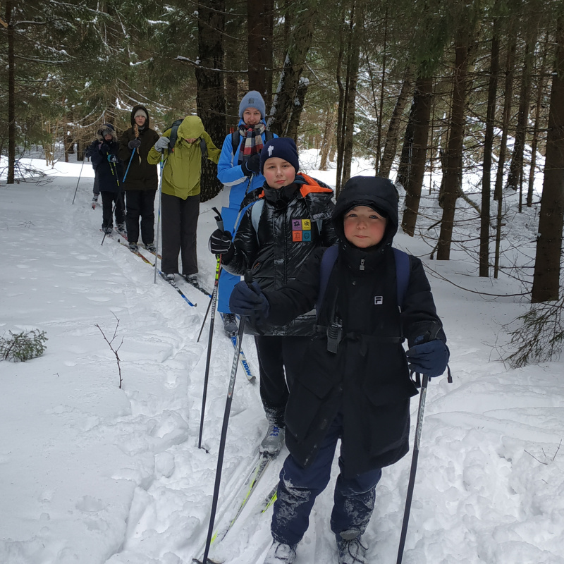 В лесу на лыжах В лесу на лыжах