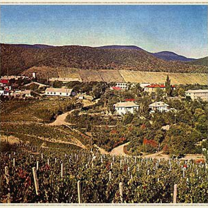 Заседание клуба Новороссийск Заседание клуба Новороссийск