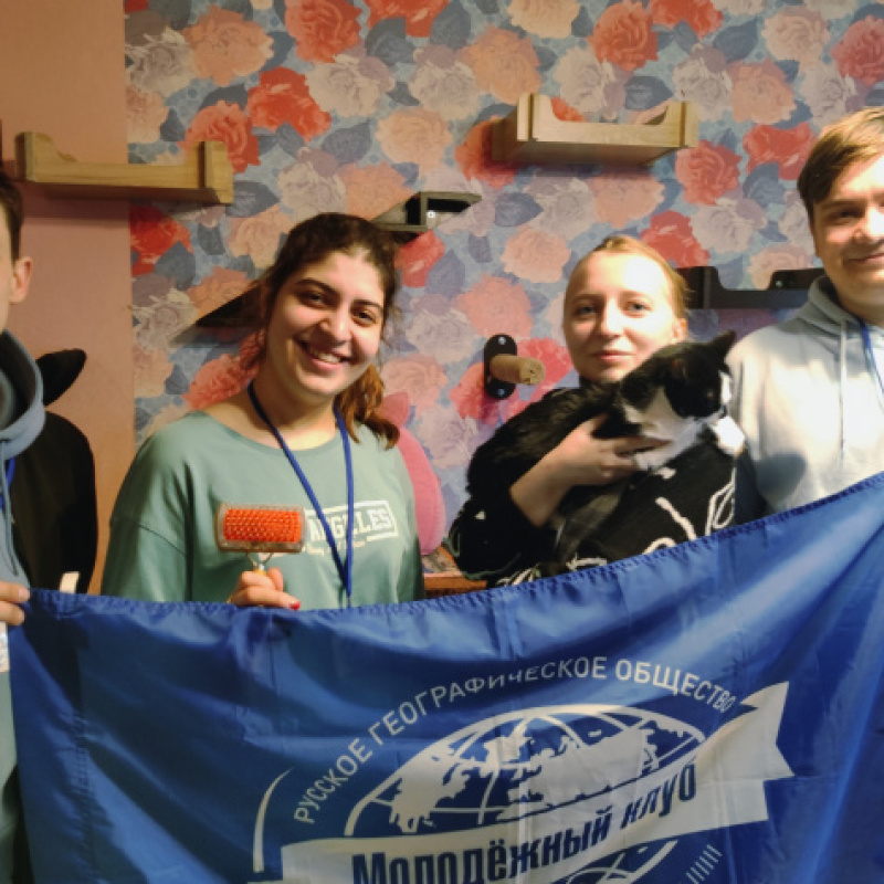 В Кошкином доме