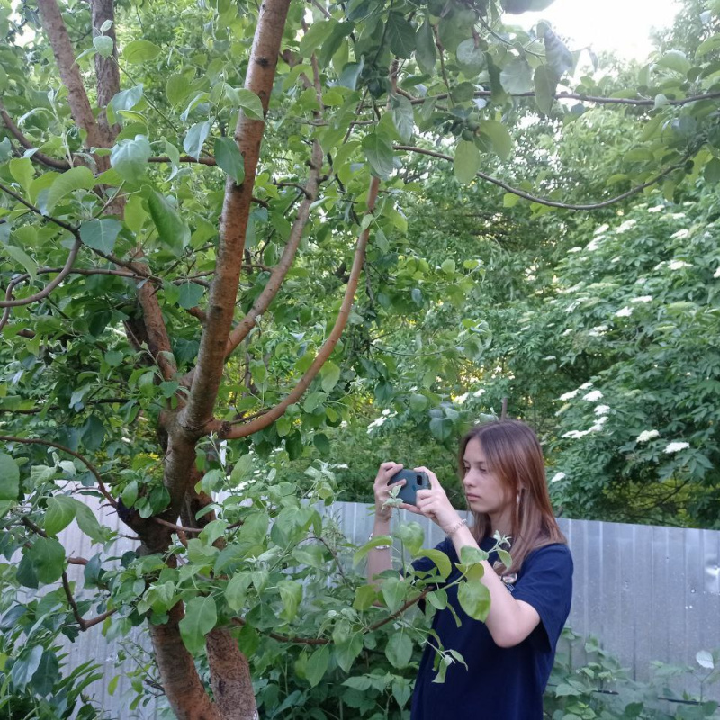 Наблюдение