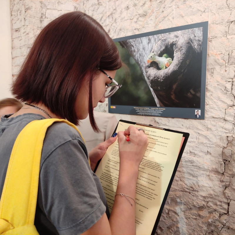 Во время квеста Во время квеста