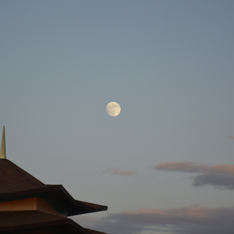 Ночь географии Ночь географии