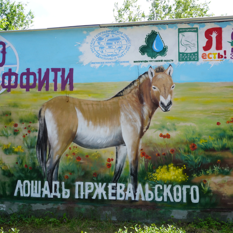 Молодежный клуб РГО Ростовской области