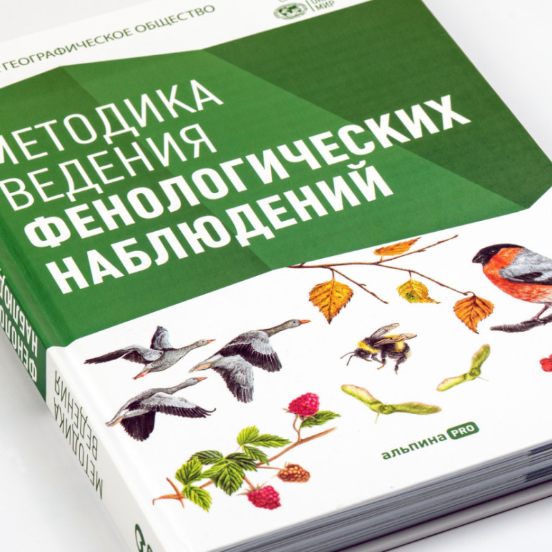 Пресс-служба РГО Пресс-служба РГО