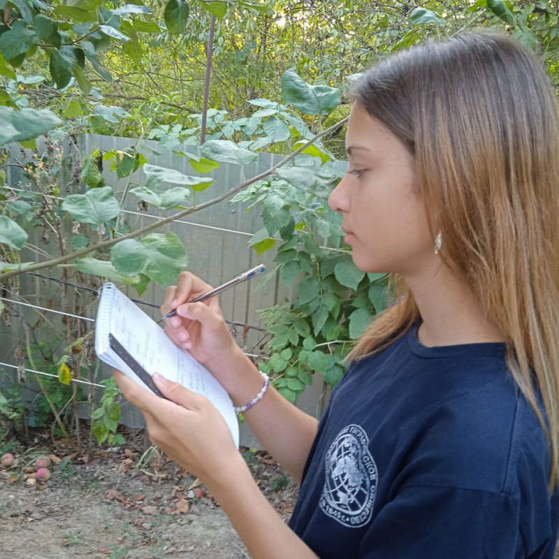 Фенолог проводит исследование Фенолог проводит исследование