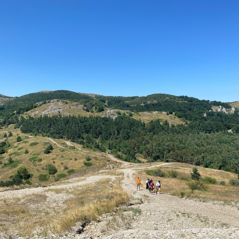 Никифорова А.А. Никифорова А.А.