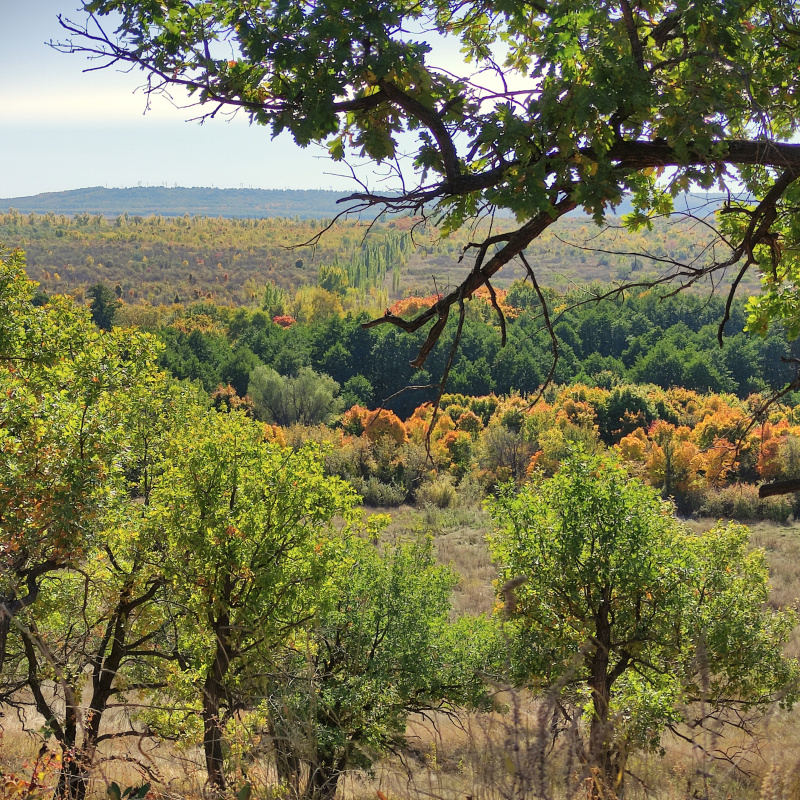 Во время экспедиции