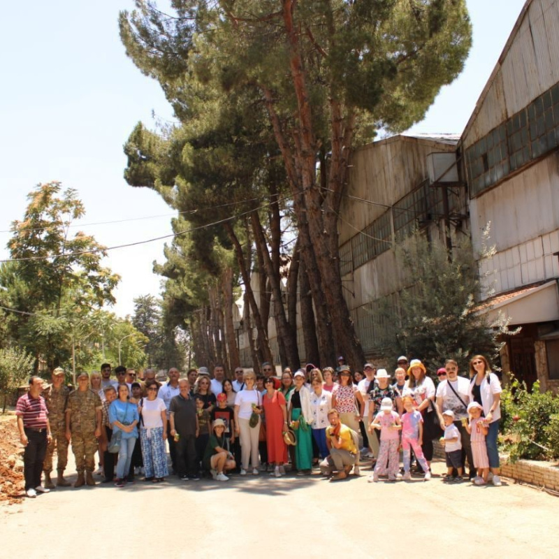 МК РГО "Феникс" МК РГО "Феникс"