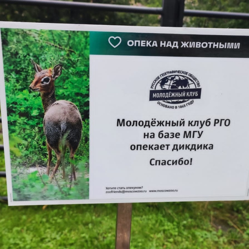 В Московском зоопарке