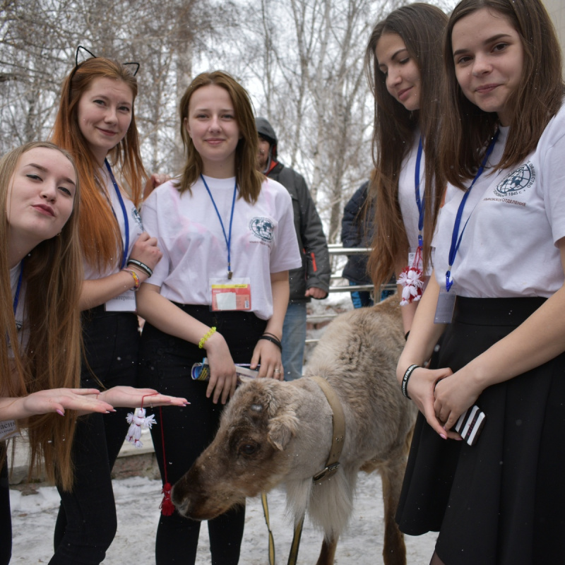 фрегат паллада