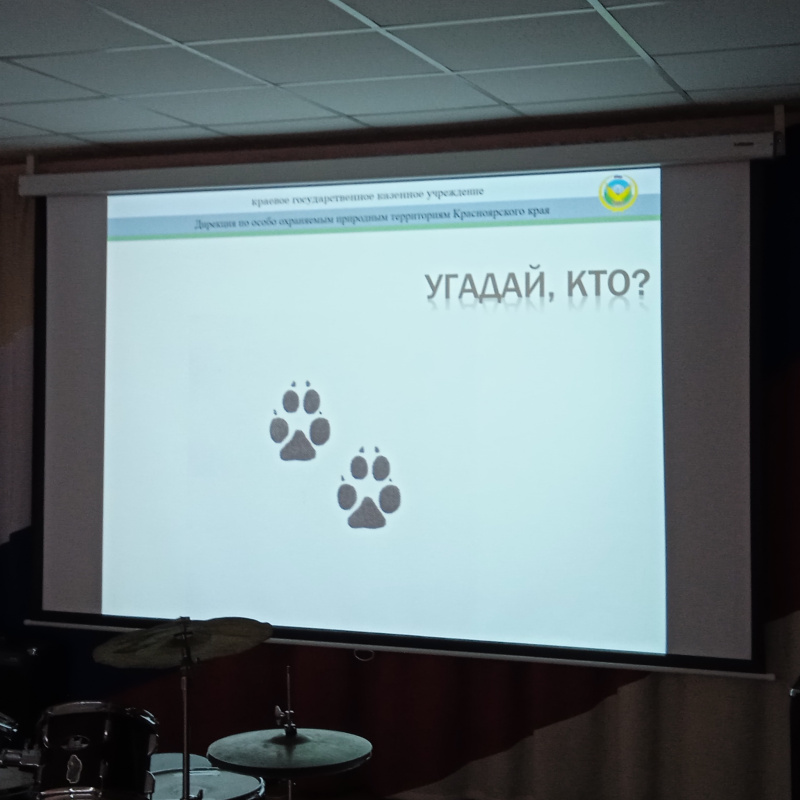 Это кто Это кто