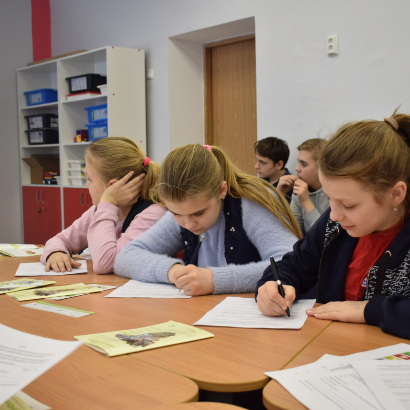 Подгоренский лицей