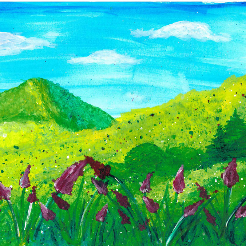 Погода для всех