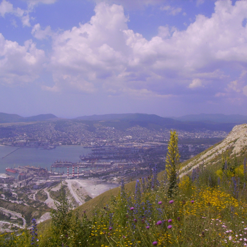 Краснодарский край