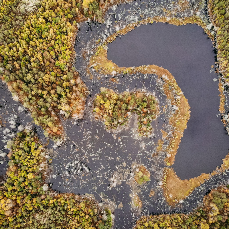 Волкова Влада