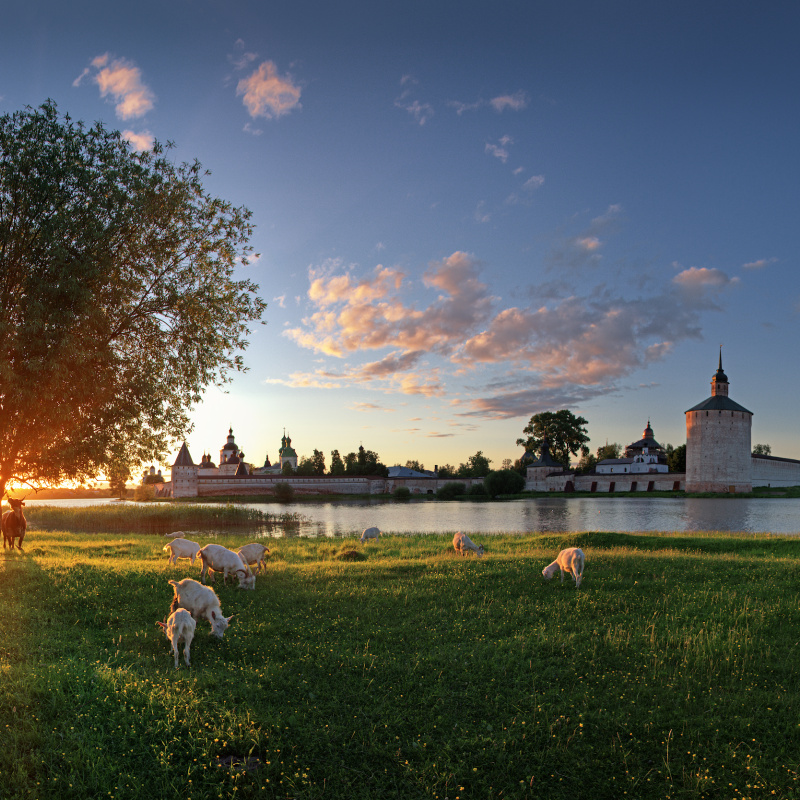 Вологодская область Вологодская область