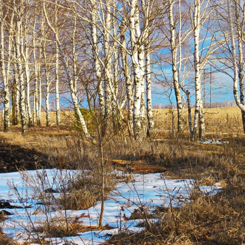 Михаил Редин