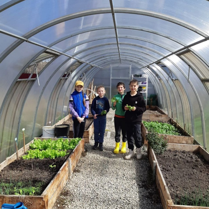 Участники проекта