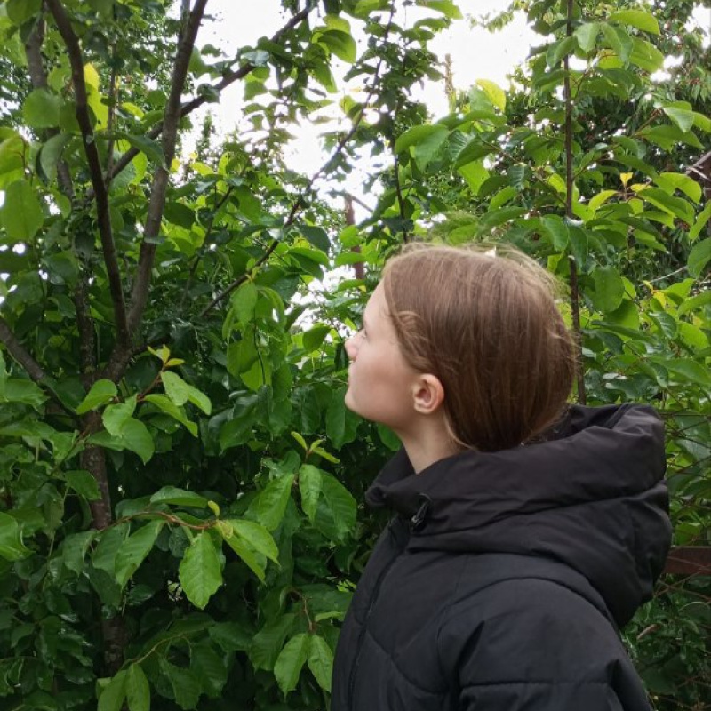 Наблюдения