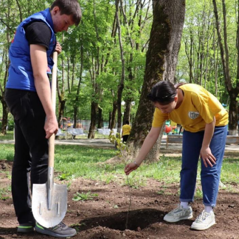 Акция "Сад памяти"