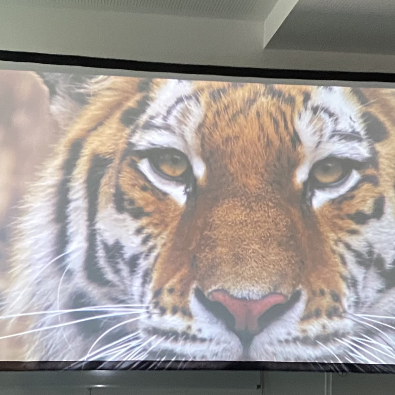 МК РГО "Австрия" МК РГО "Австрия"