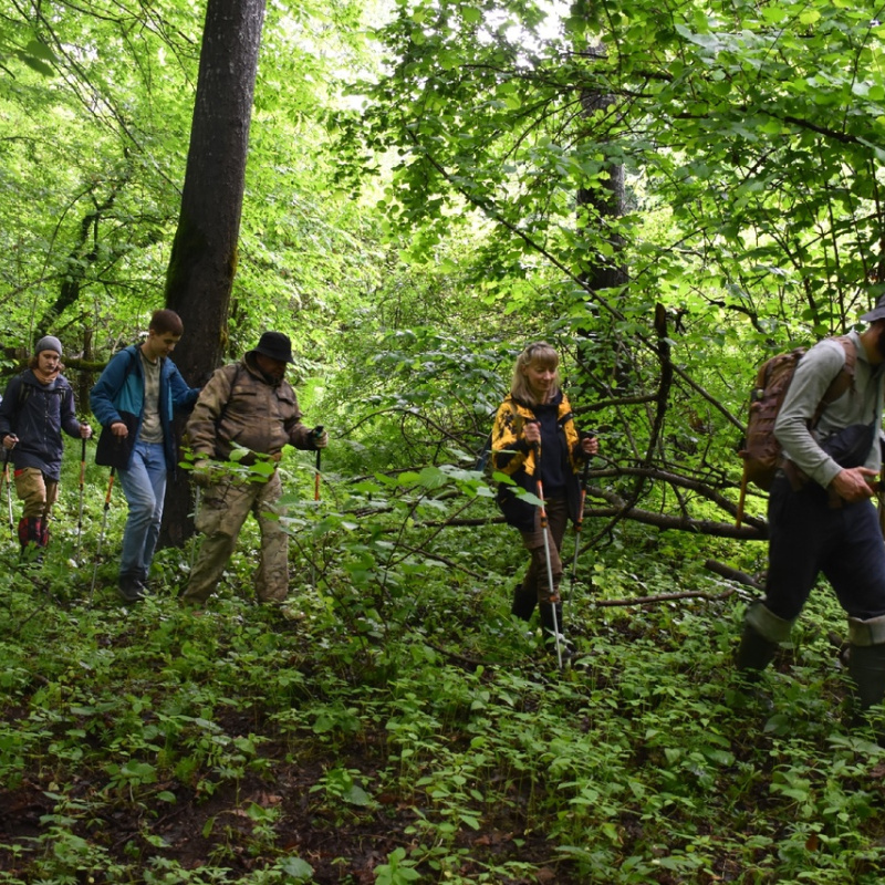 Поход на Первый пик Поход на Первый пик