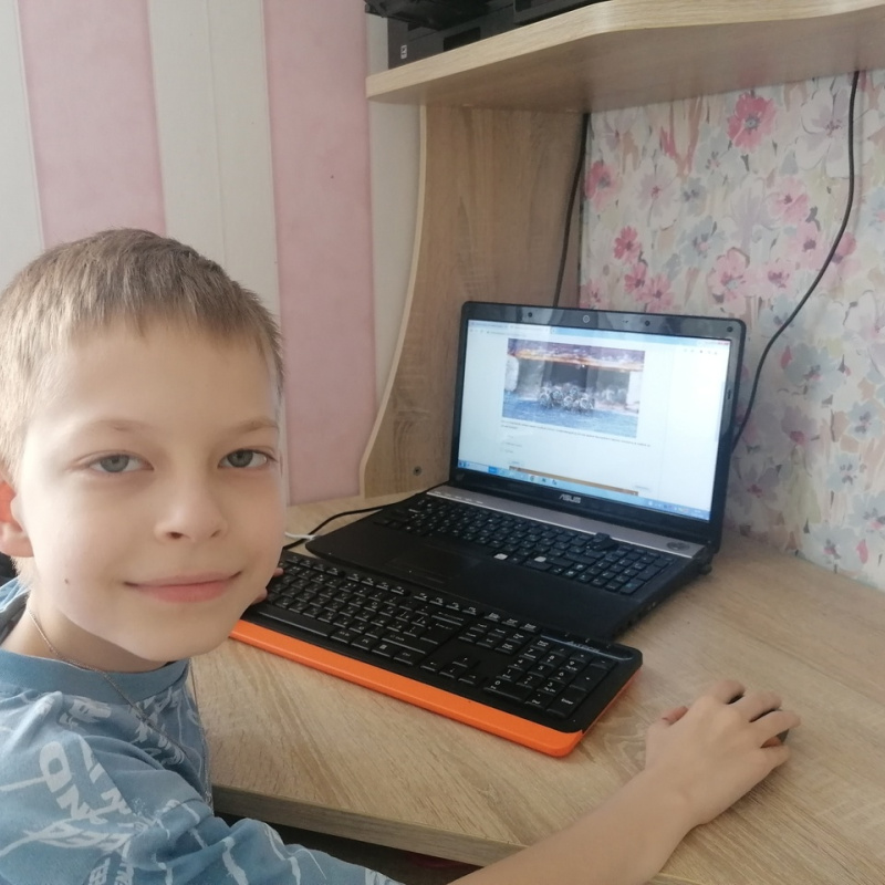 Интеллектуальная викторина "Пчелиный калейдоскоп-2024"