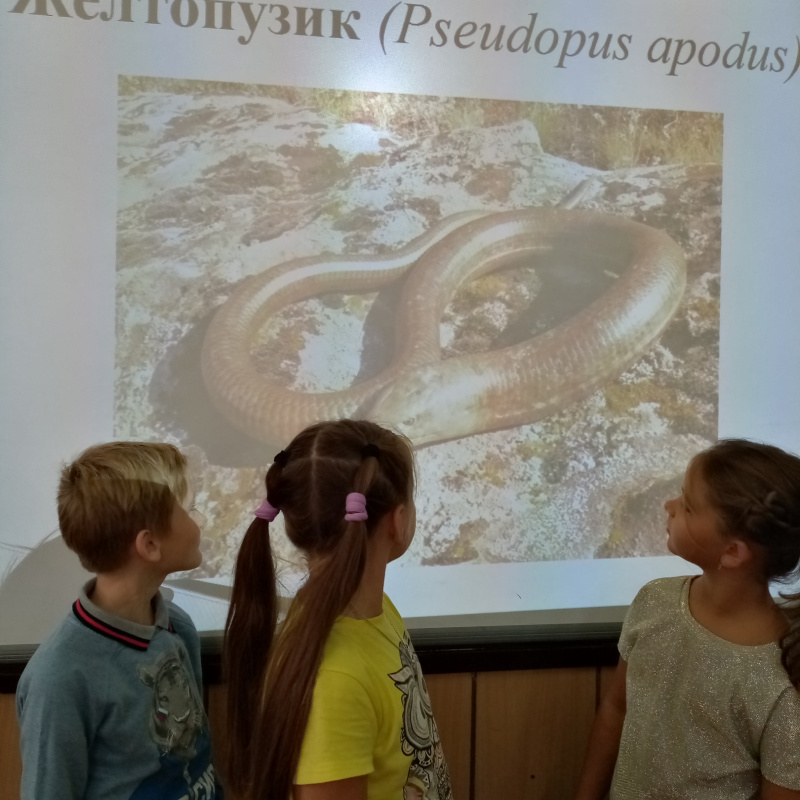 Молодёжный клуб РГО